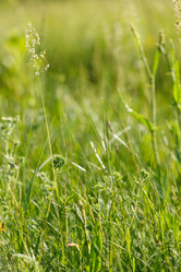 Similar image 2927829