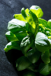 Similar image 2927833