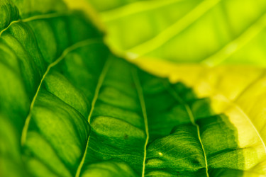 Similar image 2927834