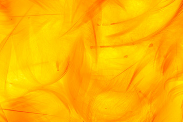 Similar image 2927859