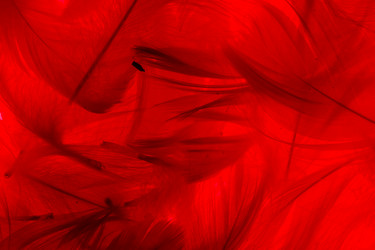 Similar image 2927860