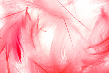 Similar image 2927861