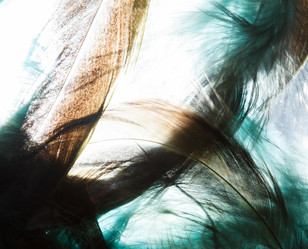 Similar image 2927862