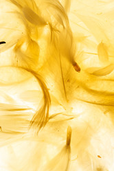 Similar image 2927863