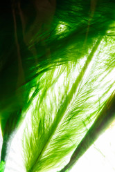 Similar image 2927864