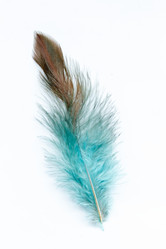 Similar image 2927873