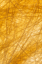 Similar image 2927877