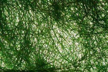 Similar image 2927878