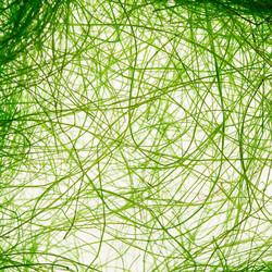 Similar image 2927879