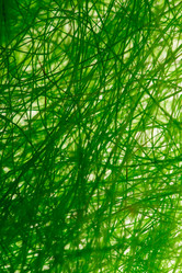 Similar image 2927880