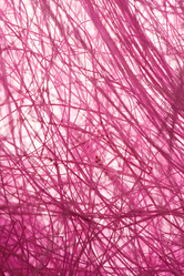 Similar image 2927881