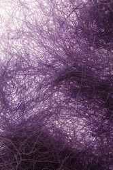 Similar image 2927882