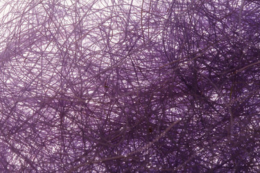 Similar image 2927883