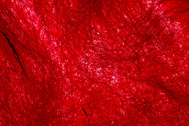 Similar image 2927886