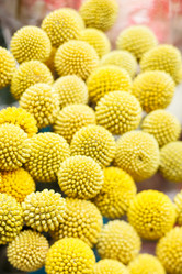 Similar image 2927887