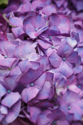 Similar image 2927888