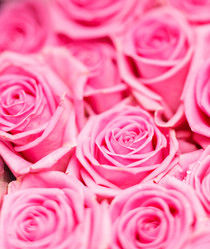 Similar image 2927891