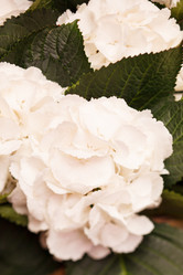 Similar image 2927893