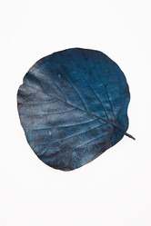 Similar image 2927897