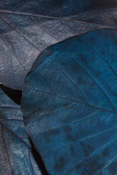 Similar image 2927898