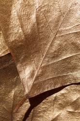 Similar image 2927899