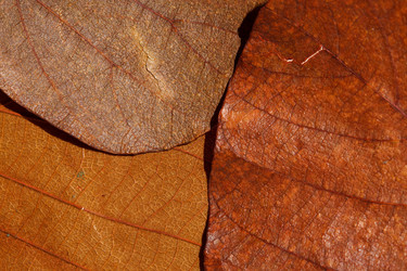 Similar image 2927901