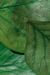 Similar image 2927903