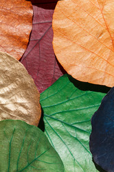 Similar image 2927904