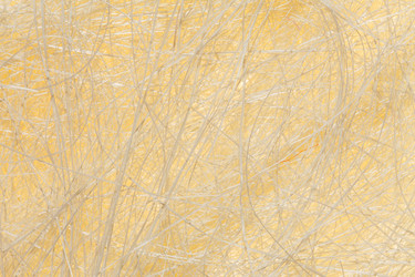 Similar image 2927906