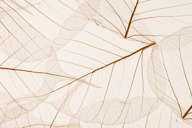 Similar image 2927907