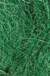 Similar image 2927910