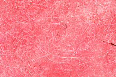 Similar image 2927911