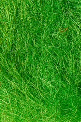 Similar image 2927913