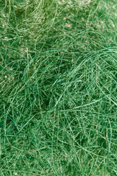 Similar image 2927914