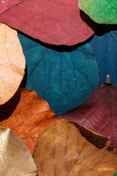 Similar image 2927915