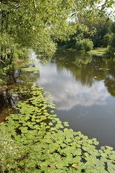 Similar image 2927918