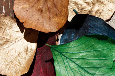 Similar image 2927919