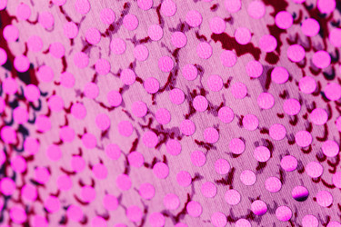 Similar image 2927925