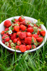 Similar image 2927933