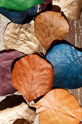 Similar image 2927934