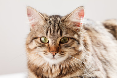 Similar image 2927939