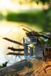 Similar image 2927945