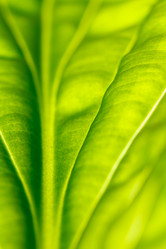 Similar image 2927957