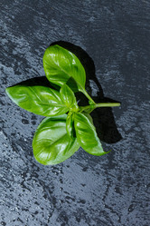 Similar image 2927960