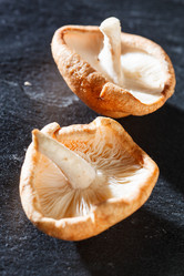 Similar image 2927961