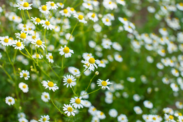 Similar image 2927965