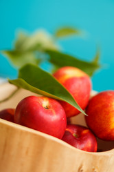 Similar image 2927969