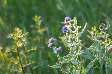 Similar image 2927978