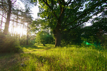 Similar image 2927980