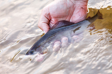 Similar image 2927983